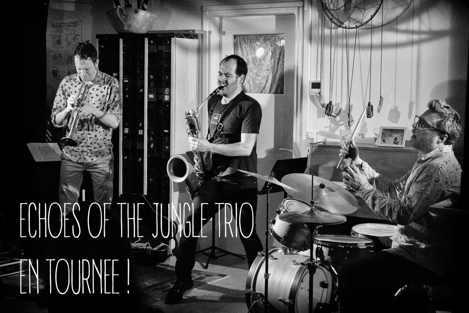 Ne dites pas non - Echoes of the Jungle trio