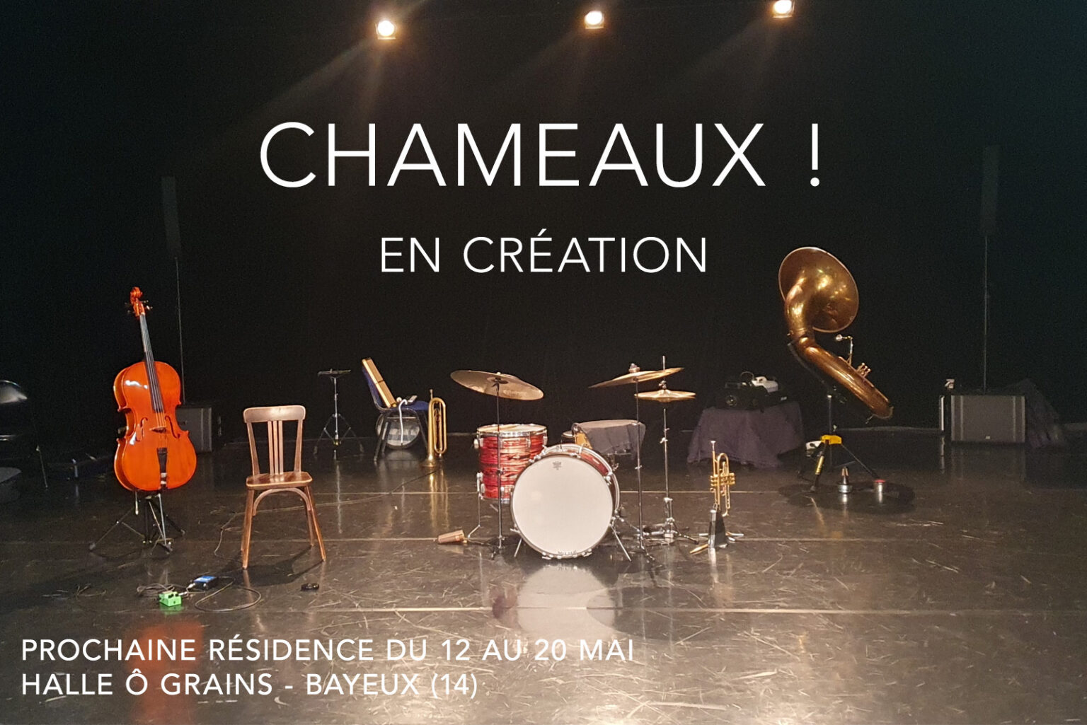 Chameaux !