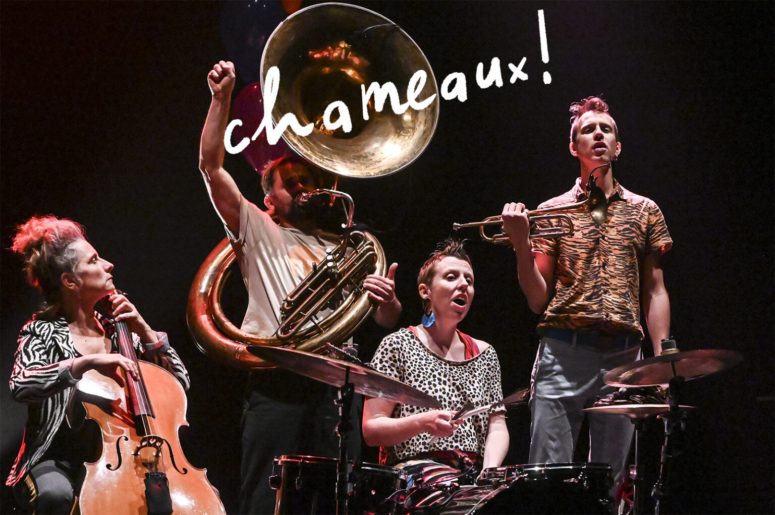 CHAMEAUX